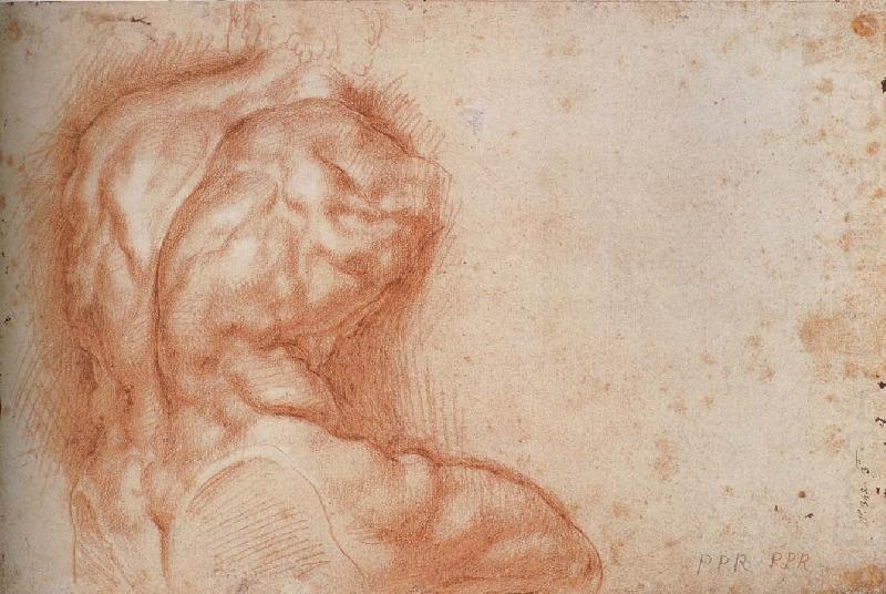 Facsimile form Torso belvedere, Peter Paul Rubens